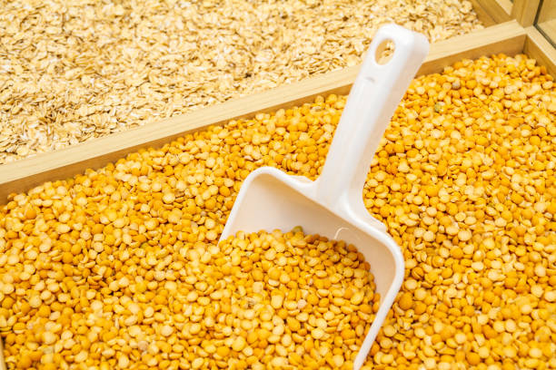 The Matel International - WhatsApp Image 2025-09-29 at 10.23.46 AM